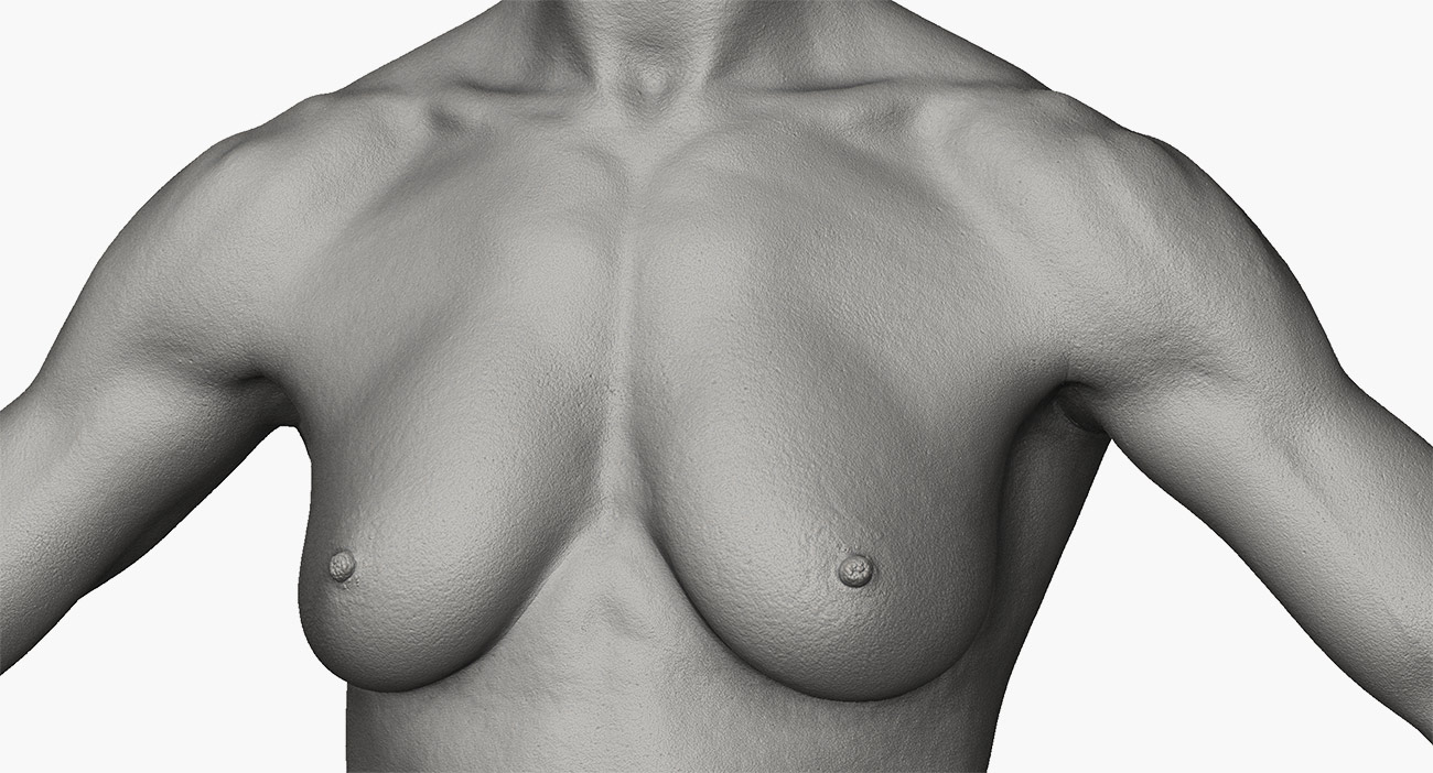 Download female 3d body model for zbrush 
